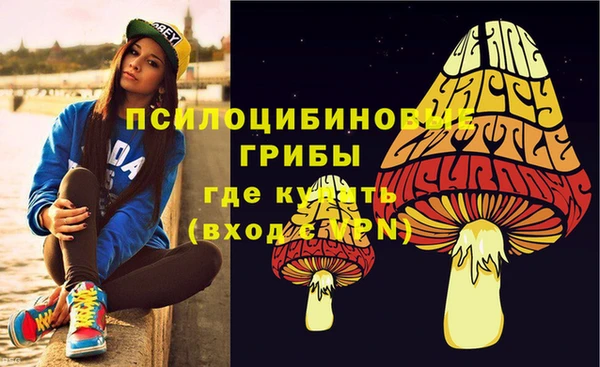 мет Абаза