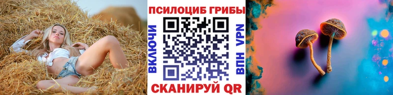 купить наркотики сайты Сертолово mega онион Псилоцибиновые грибы Cubensis